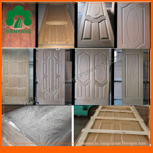 Piel de la puerta de chapa de madera con panel diferente